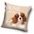 Home Sweet Home dog pillow cover, 40x40 cm, beige, with a cute dog design