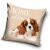 Dog Pillowcase 40*40 cm 103829560