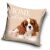 Dog Pillowcase 40*40 cm 103829560