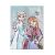 Disney Frozen Adventure A/4 Rubber Folder 103837984