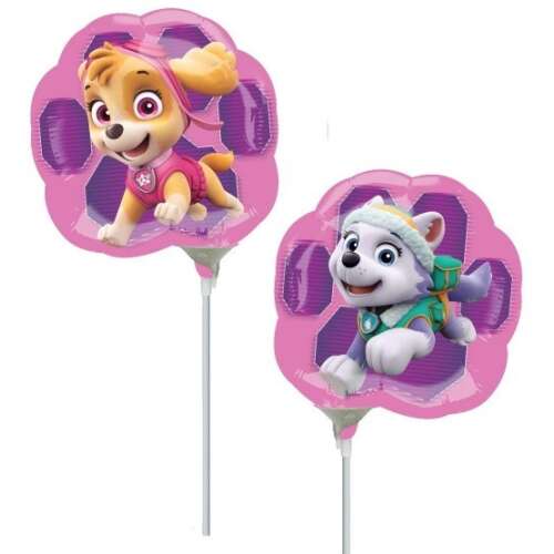 Two Paw Patrol mini foil balloons, one with Skye and one with Everest, pink with purple paw print design