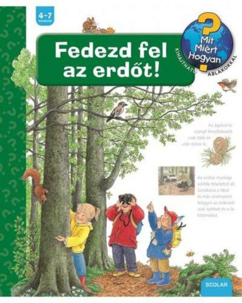 Fedezd fel az erdőt