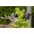 Technaxx TX-160 Wildcam surprinde căprioare în sălbăticie