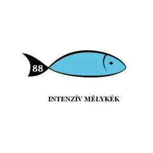 Művészkarton - 230 gr - Különféle Színek