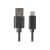 Konektory kábla Lanberg USB-C na USB-A zblízka