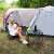 Pt028 Camping Tent 390 x 210 x 135 cm 109695395