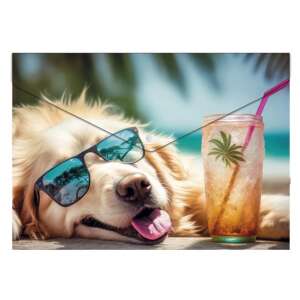 PANTA PLAST A5 папка за документи с дизайн Chillout Dog, 180 микрона, с закопчаване - Опаковъчен материал