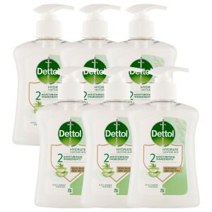 Dettol Aloe Vera and Bamboo Liquid Hand Soap 6-pack - Soap