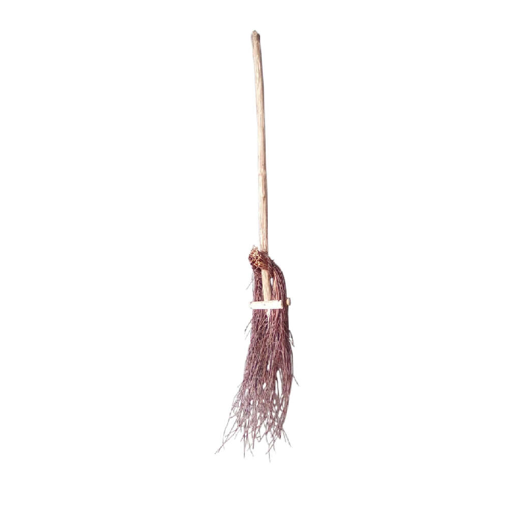 Courtyard Broom with Handle 1 pc