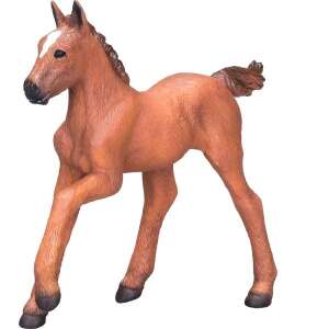 Mojo Arab telivér csikó figura, élethű ló játék - Figura