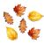 Printed decorative cardboard - Autumn leaves 4-5cm 6pcs/cs 104221126