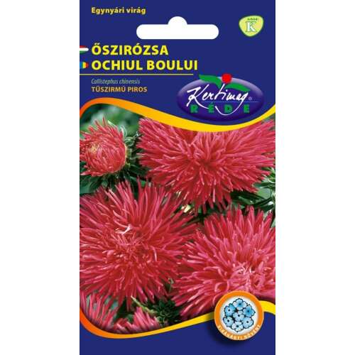 Őszirózsa Tűszirmu piros 1 g Blumensamen, rote Aster-Blumensamen, Callistephus chinensis, Kertimag Samen