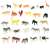 Ikonka Zoo Animal Figures Set, assortment of small plastic animals