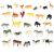 Ikonka Zoo Animal Figures Set, collection of small plastic toy animals