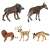 Ikonka Zoo Animal Figures: Wildebeest, Okapi, Lion, Deer, Jackal on White