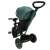 TRIKE FIX Elite green tricycle with push handle, canopy, and safety features