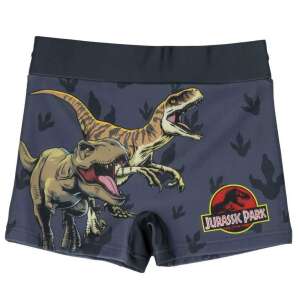 Chłopięce spodenki kąpielowe Jurassic Park z nadrukiem dinozaurów - Moda dla niemowląt i dzieci