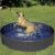 Purlov Collapsible XL Dog Pool 120x30cm #grey-blue 104471143