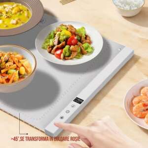 Electric food warmer tray with multiple dishes - Food storage
