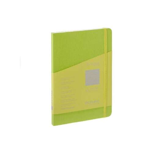 Fabriano Ecoqua Plus A5 hellgrünes Notizbuch mit Linien