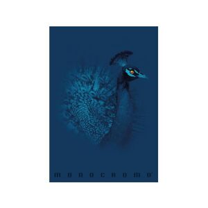 Pigna Monocromo A4 Notizbuch - 38 Blatt kariert 135889483 - Schreibwaren & Schreibmaterial