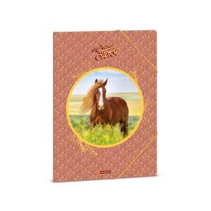 Ars Una My Sweet Horse A4 mappa ló mintával - Irattartó mappa