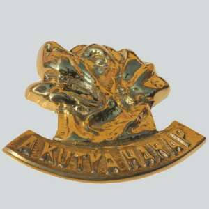 Hundebissschild einzigartiges Design Kupfer 104820835 - Warnzeichen