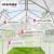 Polycarbonate Greenhouse without Base 130166402