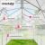 Polycarbonate Greenhouse without Base 130166402