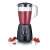 Blender Severin SM 3707 cu smoothie în vas