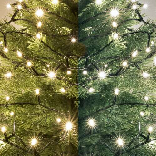 Home LED305WWWH LED Dual Color String Lights, Indoor/Outdoor, 300 Warm White/Cool White LEDs, 21m String Length