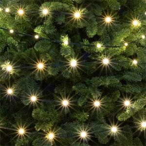 Home LED158DWW DOT LED String Lights, Indoor/Outdoor, 150 Warm White LEDs, 8 Lighting Modes, 15m String Length 143712059 - Home by Somogyi