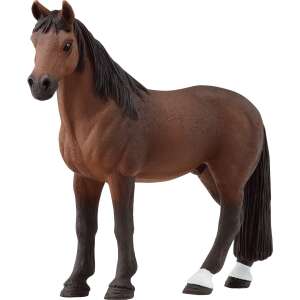Wałach rasy Tennessee Walker 105102039 - Figura