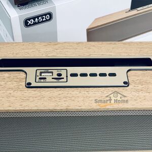 XM-520 Karaoke Speaker control panel close-up - Nonbrand Bluetooth Speaker