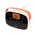 Angled view of SAL RPR4LCD portable radio with orange handle and digital display