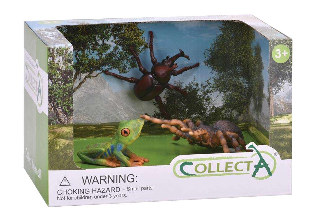 Set of 3 Vertebrate Figures Painting Handbook