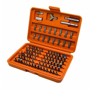 100-piece Bit Set, Gadget, 390707 131328912 - Tool