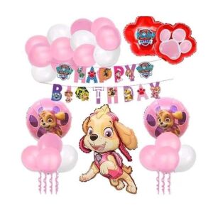 Paw Patrol Skye balloon set, 25 pieces, birthday party decoration - Balloon