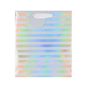 White and silver striped gift bag with rainbow iridescent finish - Art & Craft