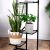 ProGarden 4-Shelf Plant Stand, 40x27x102 cm, 2.5 kg 105265233