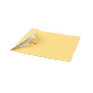 Decorațiune din hârtie Magic Pop-Ups Lebăda cu flori 129814132 - Decoratii si echipamente pentru petreceri