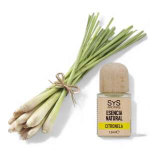 Citromfű növény és 12 ml-es üveg SyS Aromas természetes citromfű illóolaj - Laboratorio SyS
