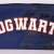 Close-up of the Harry Potter Hogwarts pencil case, showing the Hogwarts logo