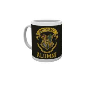 Harry Potter Hogwarts Alumni Mug, 300ml - Mug