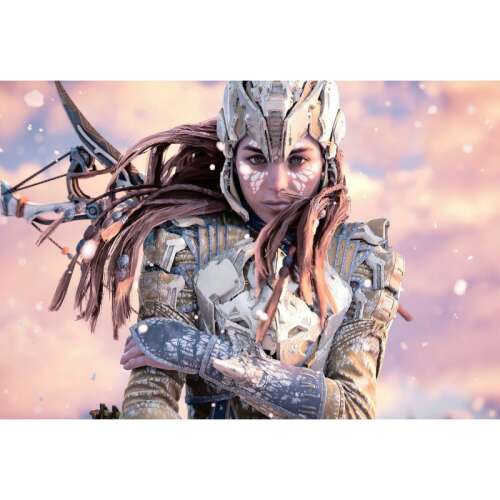 Horizon Forbidden West poster, 61x90cm, featuring Aloy