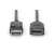 Cablu Digitus 2m DisplayPort Masculin-Feminin, detaliu al conectorilor