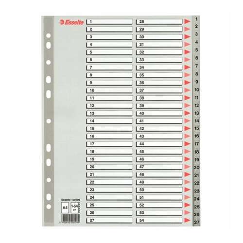 ESSELTE A4 1-54 plastový sivý register