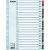 ESSELTE "Mylar" A4 1-20 laminált karton regiszter 58122464