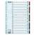 Esselte A4 1-20 Mylar Laminated Card Index Dividers