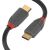 LINDY 3m USB 2.0 Type C cable, Anthra Line, for data transfer and charging